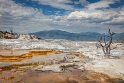 036 Yellowstone NP, mammoth hot springs